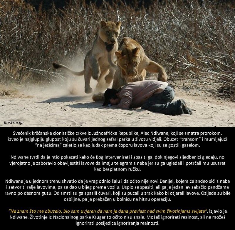 "Prorok" cionističke crkve napao lavove, računao na božju pomoć, pogledajte kako je završilo