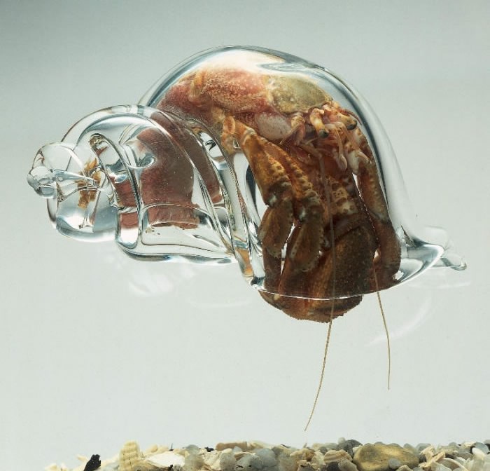 Rak samac uzeo kredit i nabavio fensi staklenu kućicu