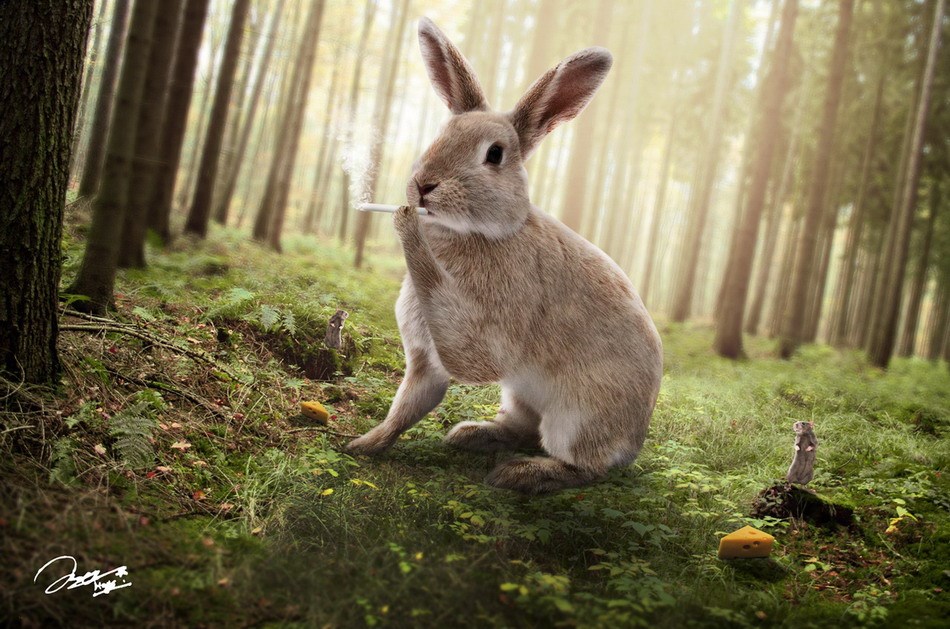 Medo, jesi kad, kašlj kašlj, zapalio koju, a?