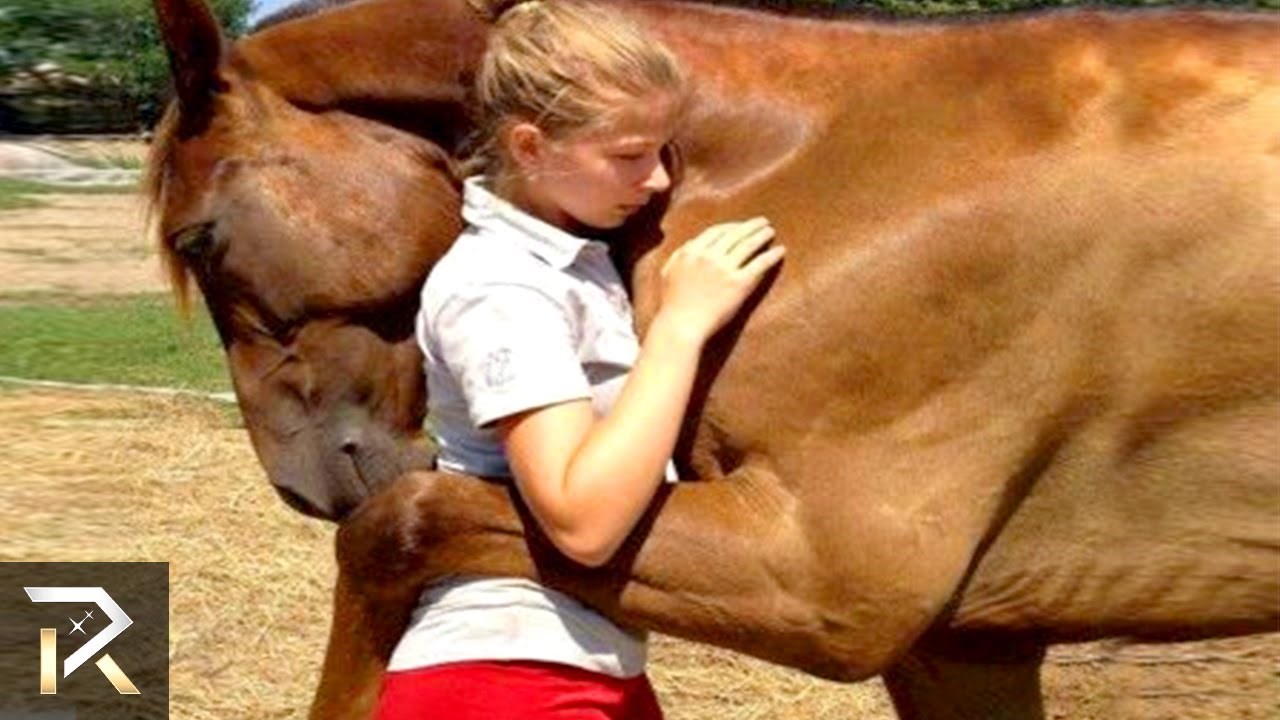 Nevjerojatne životinje koje su svojim ljudima spasile život