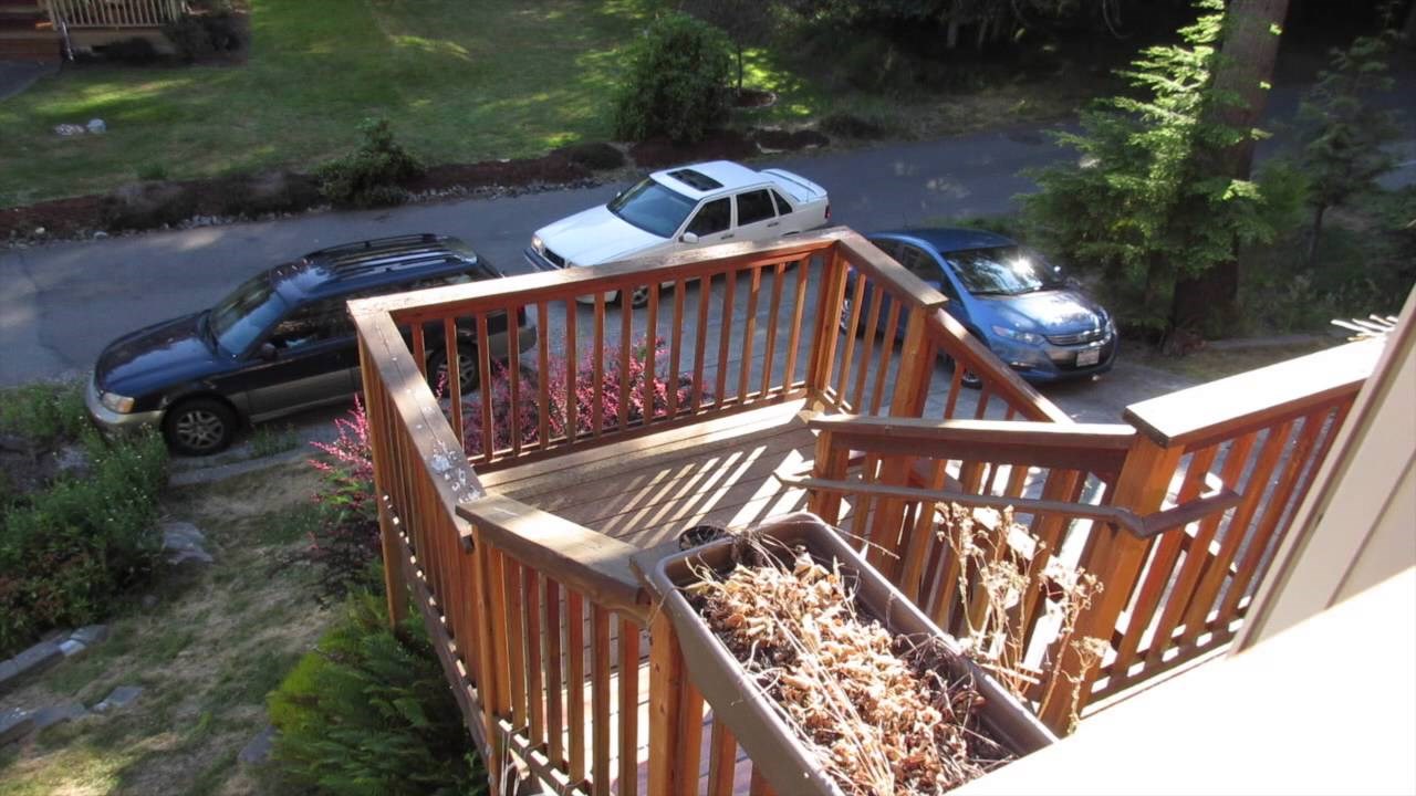 VIDEO: To je pravi tata - sa kćeri izumio glazbene stepenice!