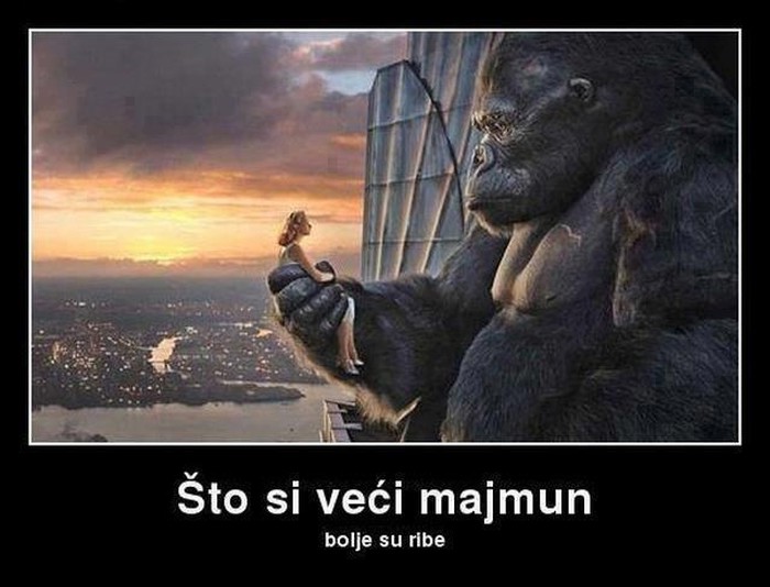 Što si veći majmun, to su bolje žene