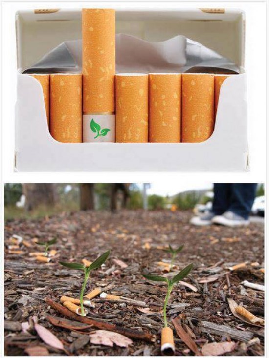 Cigarete "sade" cvijeće