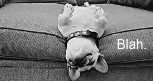 Nakon blagdanskog prežderavanja