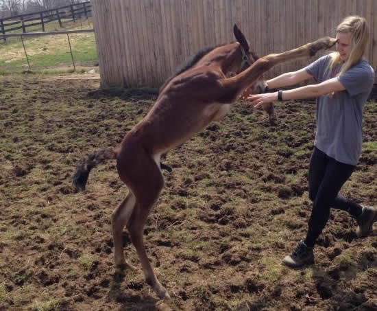 Konjić joj stisnuo šamar