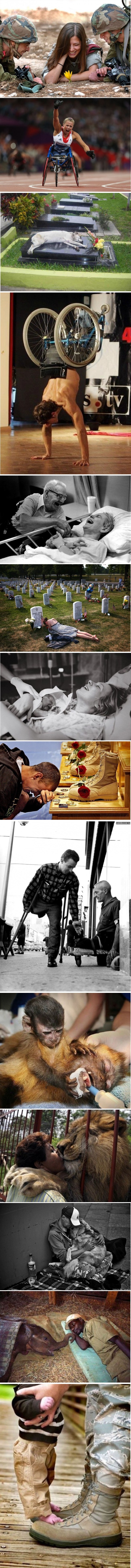 14 dirljivih fotografija koje nikoga neće ostaviti ravnodušnim 