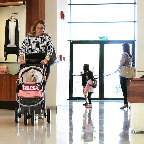 Kakva su to vremena došla?