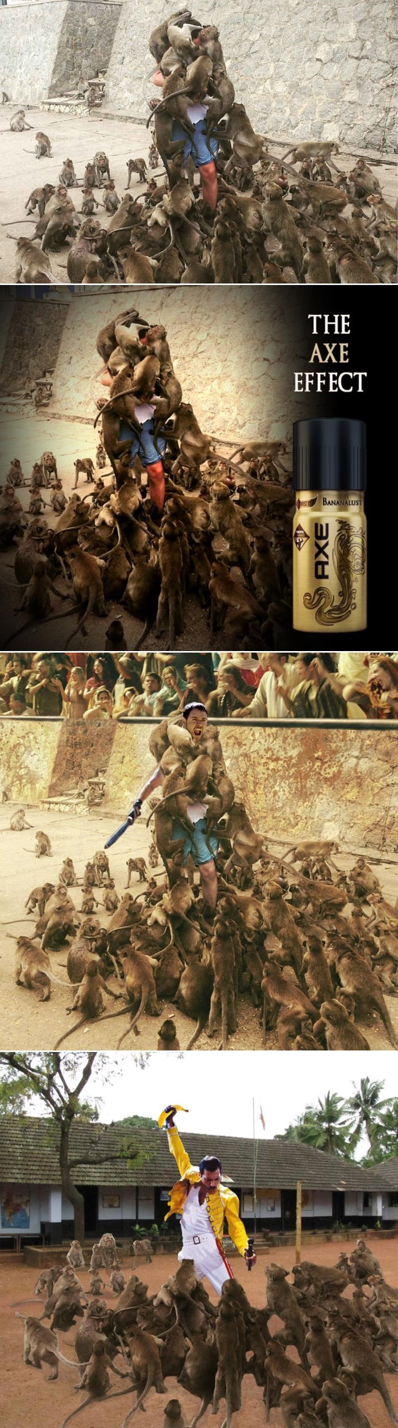 Ne hranite majmune ili slijedi ovo!