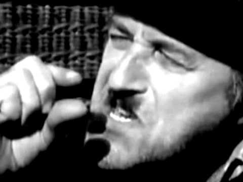 SKANDAL: "Gruntovčani" predvidjeli chemtrailove!