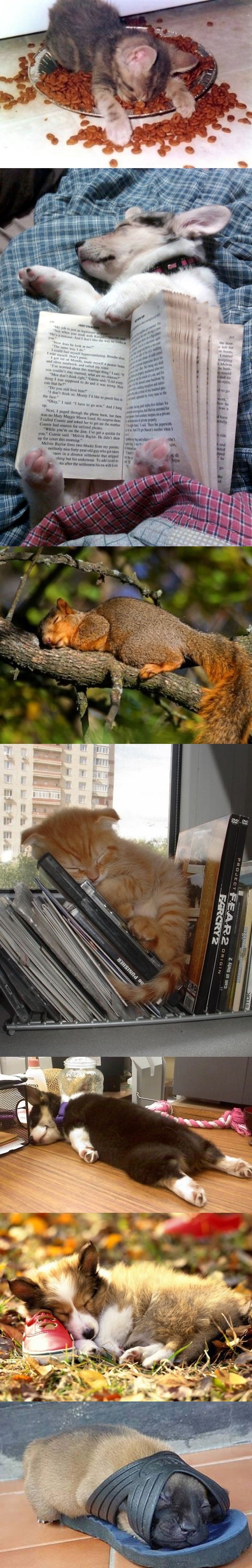 Jeste li ikad bili ovako umorni?