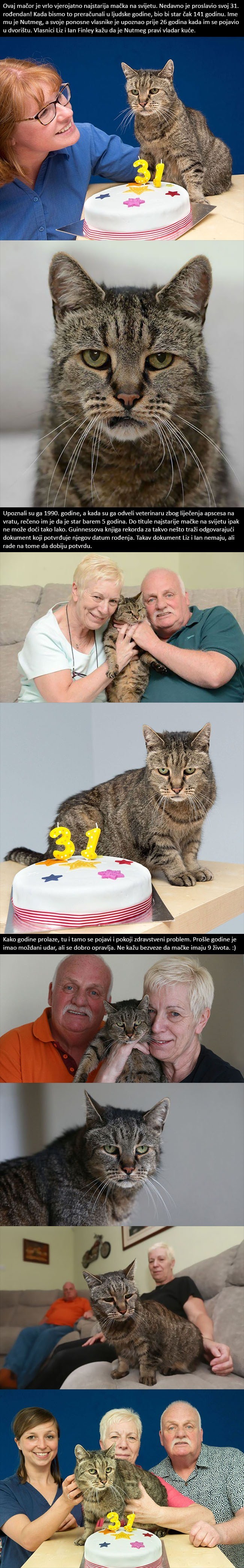 Ovo je najstariji mačak na svijetu, u ljudskim godinama bi bio 141-godišnjak!
