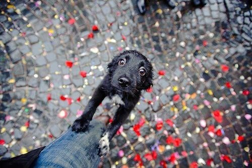 "Uzmi me doma sa sobom!"