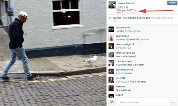 Gandalfa moraš poslušati