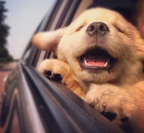 Ma tko to obožava vjetar u kosi?