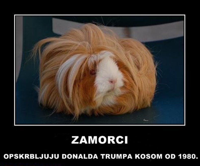 Hmmmm...Ima li i Duško Lokin svog dobavljača?