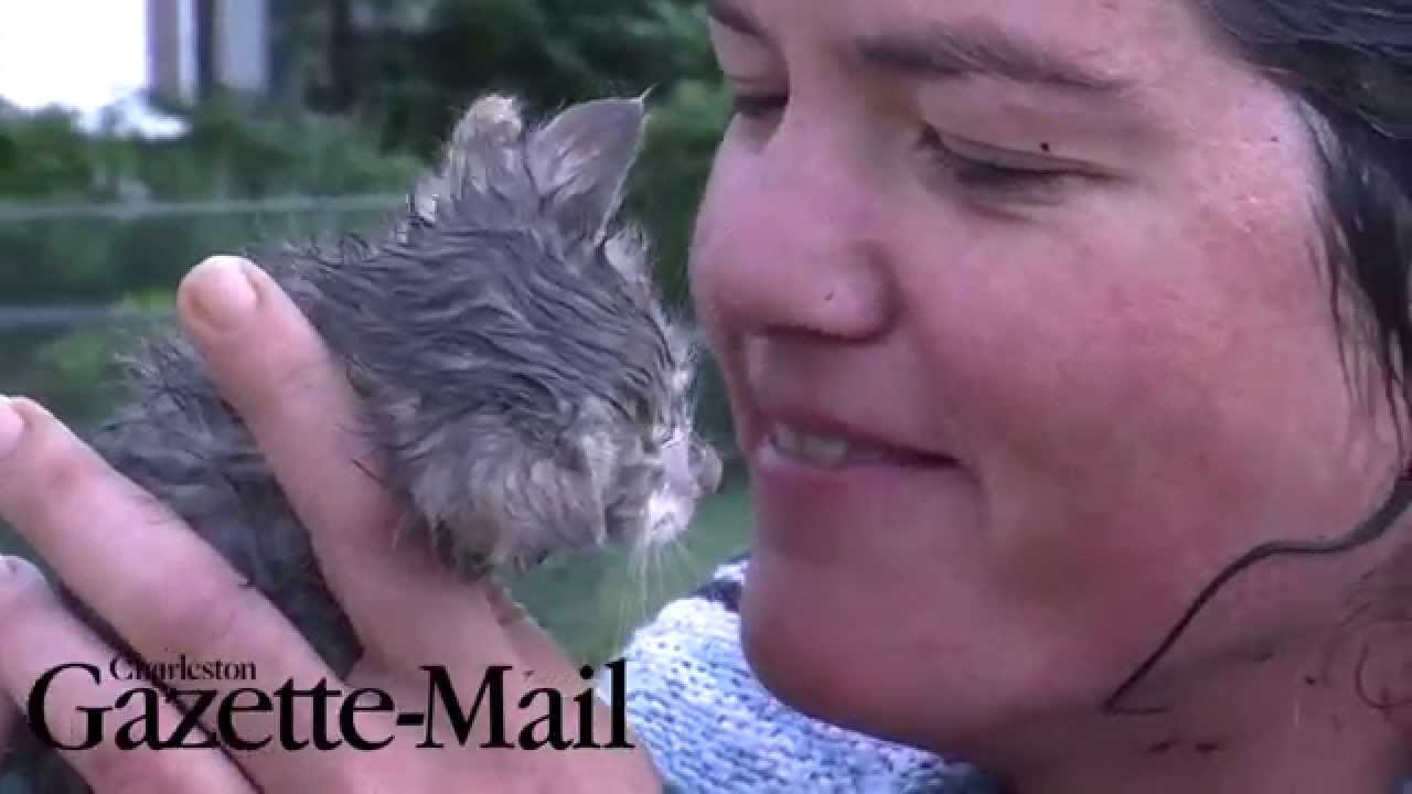 VIDEO: Žena riskirala život zbog mačeta koje je zaglavilo u odvodnoj cijevi