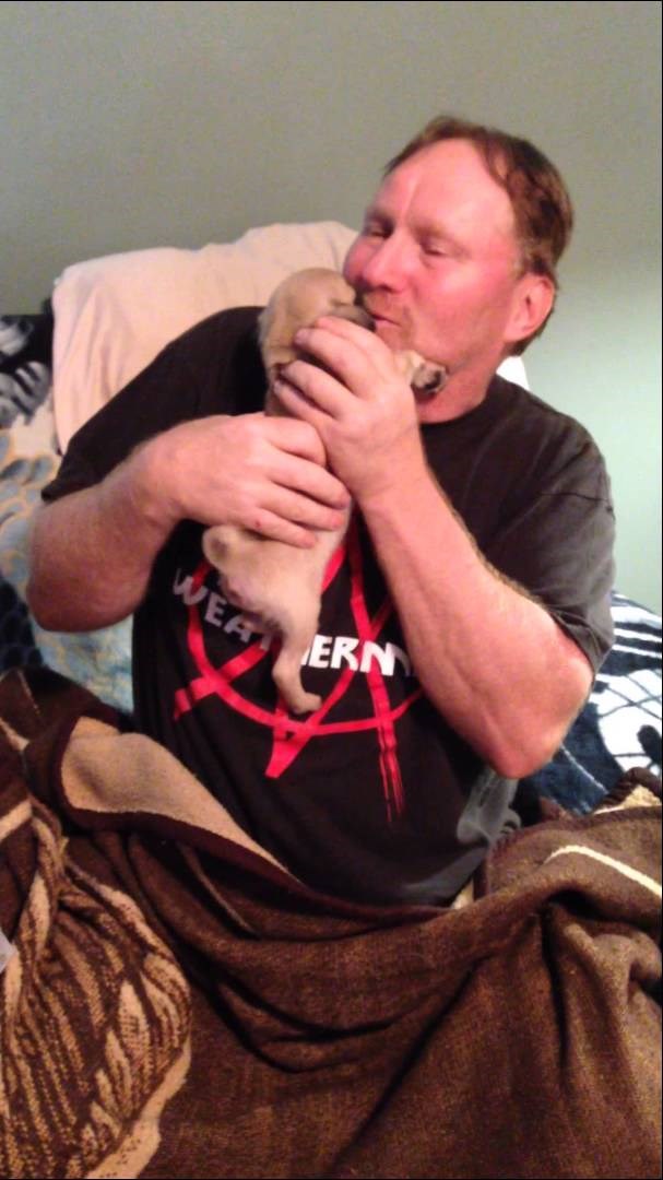 Iznenadila je muža štenićem nakon što im je uginuo pas star 11 godina