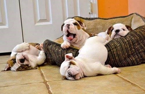 treba znati kada je dosta...sa igrom