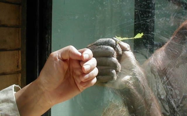 Što prvo pomislite kad vidite ovu sliku?