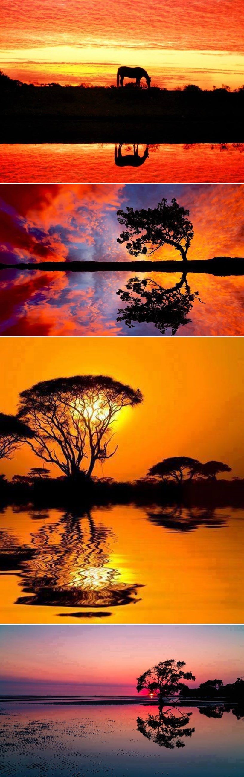 GALERIJA: Možete li pogoditi jesu li na fotkama izlasci ili zalasci Sunca?