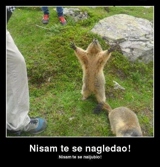 Svizac se naslušao Halida