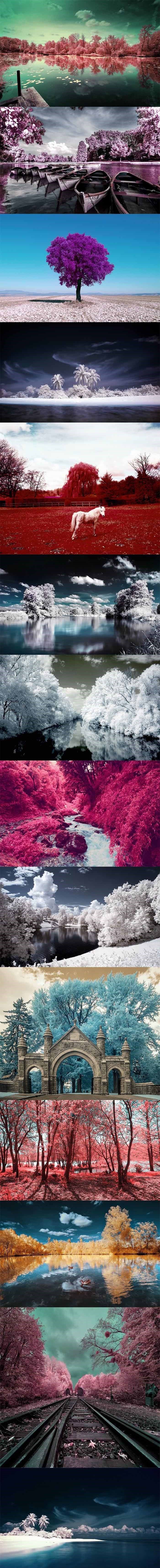 TOP 14 prelijepih infracrvenih fotografija