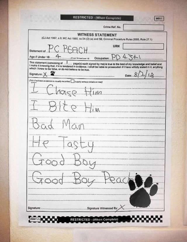 Sud forsirao izjavu policijskog psa - i dobio je