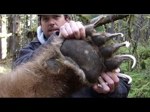 VIDEO Dvadeset najvećih životinja svojih vrsta za koje nećete vjerovati da su stvarno postojale!