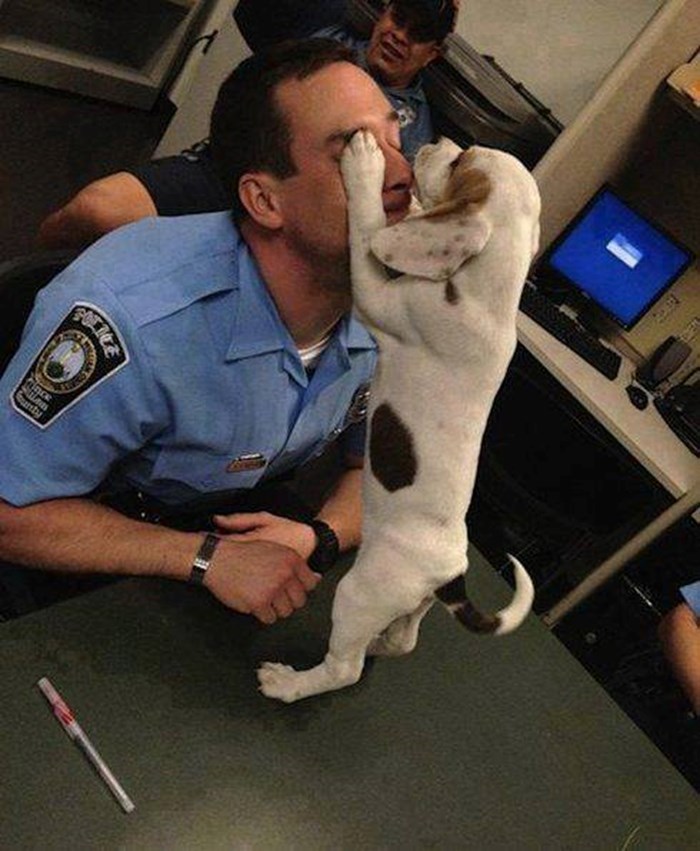 Psić daje pusice policajcu koji ga je spasio i udomio