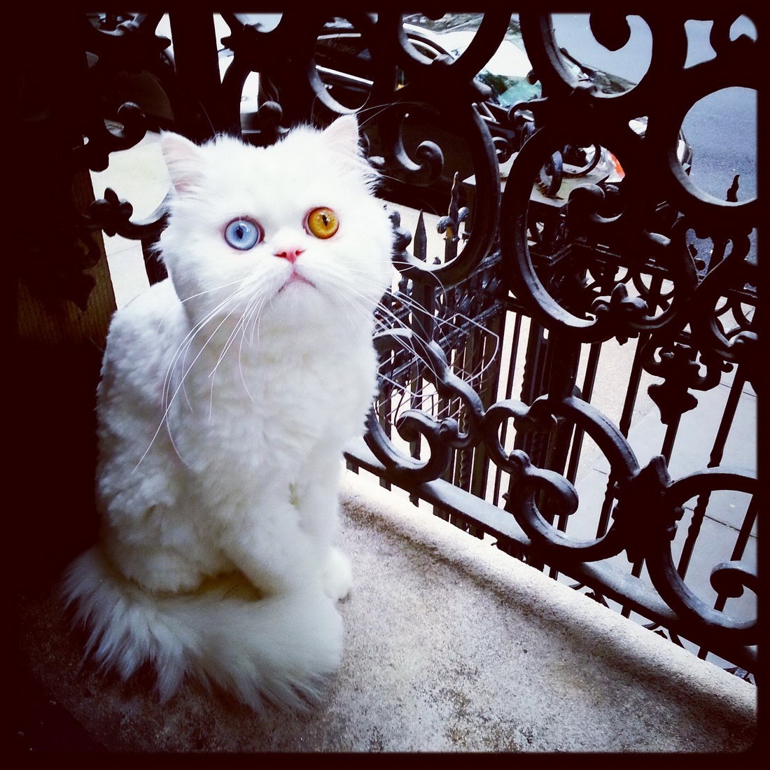 Ma kakav crno-bijeli svijet, šta onaj pjeva, božeeee