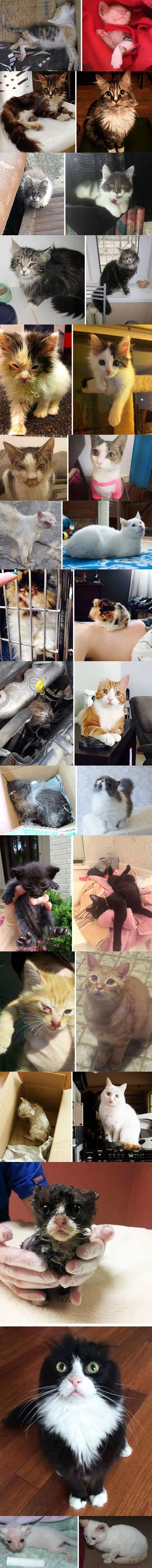 tužne priče sa sretnim završetkom zahvaljujući Ljudima Sa Velikim Srcem..
