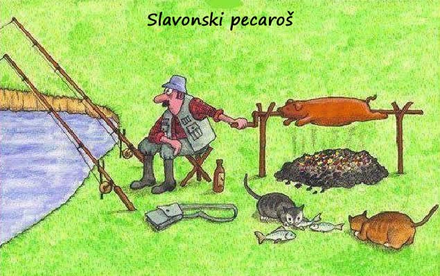 Dok prase rotira, riba me ne dira