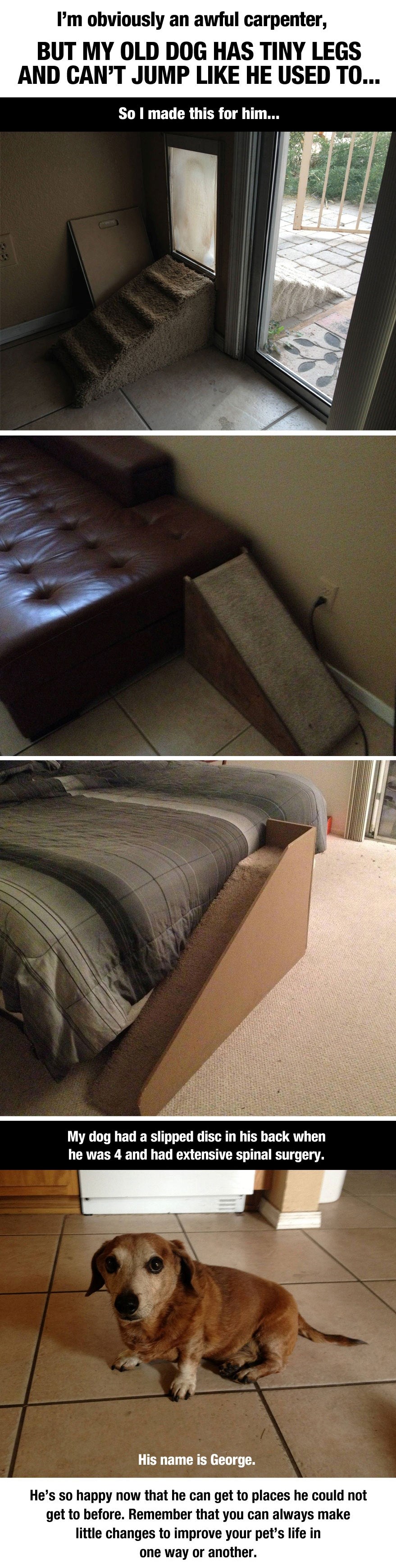 Dobri gazda olakšao život ostarjelom psu