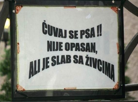 Oprez: Blagi pas, ali slab sa živcima