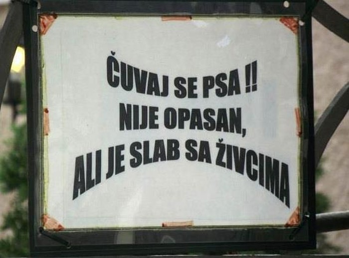 Oprez: Blagi pas, ali slab sa živcima