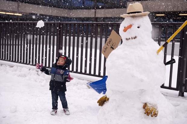 Snješko odlučio zaraditi - fotka 1 euro