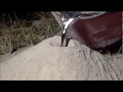 Naljutio pola planete: Monstrum na mravinjak prolio tekući aluminij!