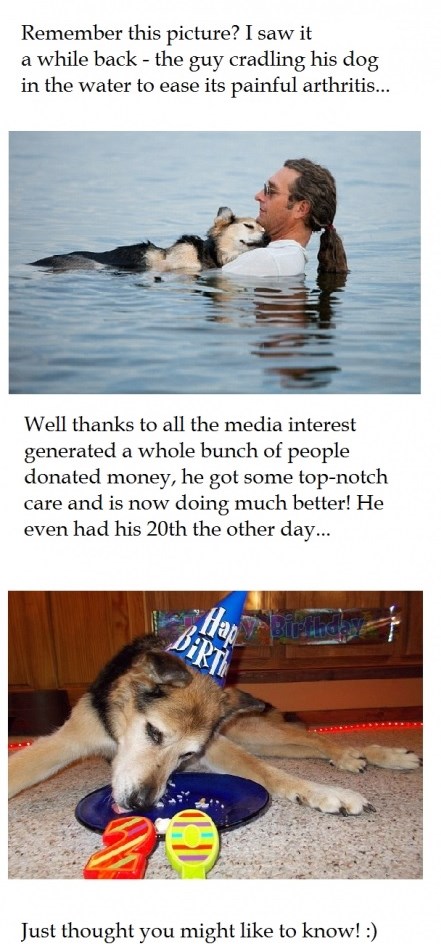 Sjećate se ove slike? Pas je bolje i slavi 20. rođendan!