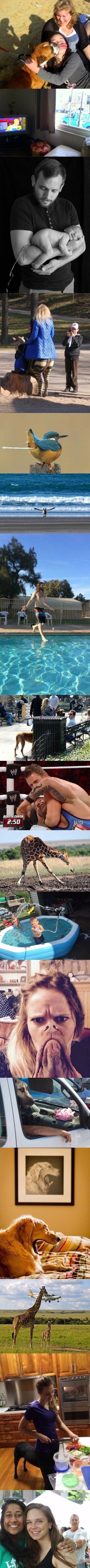 GALERIJA: Najbolje slike uhvaćene u pravom trenutku