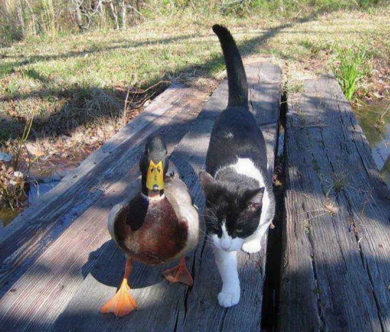 Kužiš, i onda sam prebio lovca, reko "Nije sezona!"..