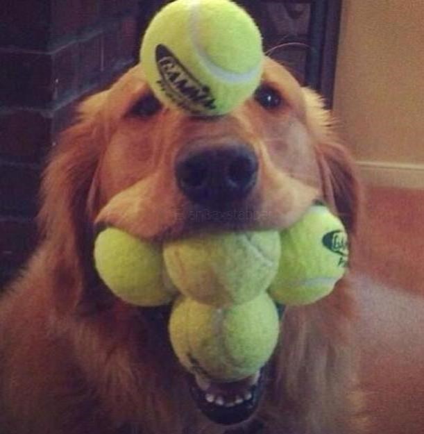 Sreća nije dovoljna, treba pet puta sreća!