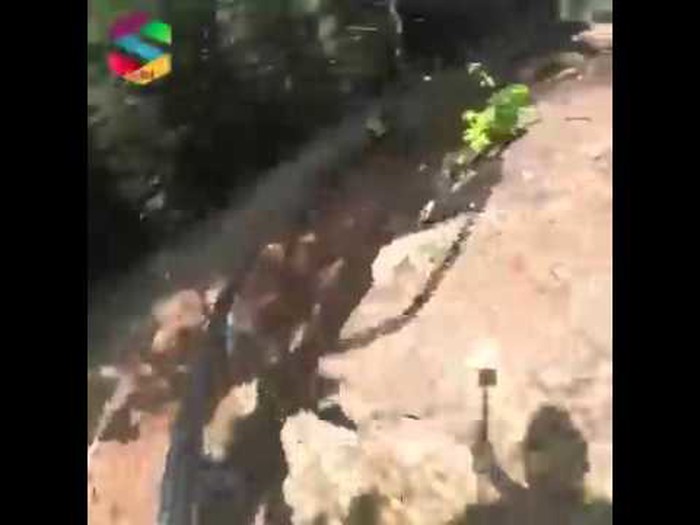 Tko bi isprobao ovu fantastičnu jurnjavu vlakićem niz planinu!?