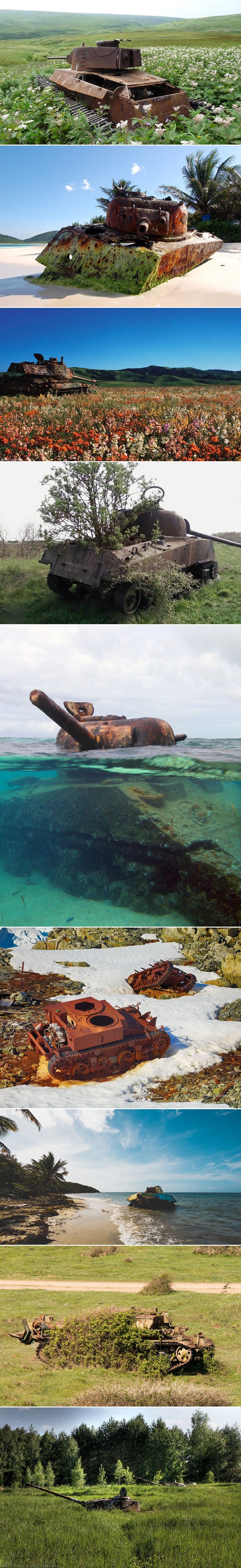 Samotni mir tenkova koje je progutala priroda ostavlja dojam rata nije ni bilo