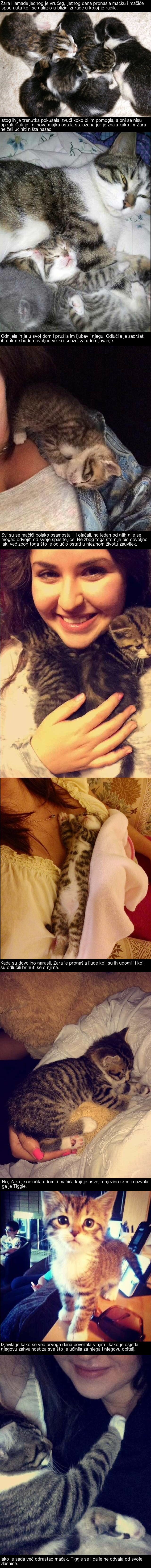 Spasila je mačiće od sigurne smrti, a jedan od njih je odlučio ostati s njom zauvijek