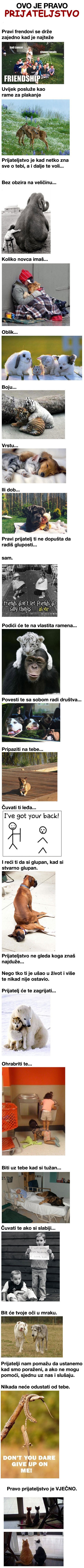 Pravo prijateljstvo, kakvo rijetki ljudi dožive i cijene