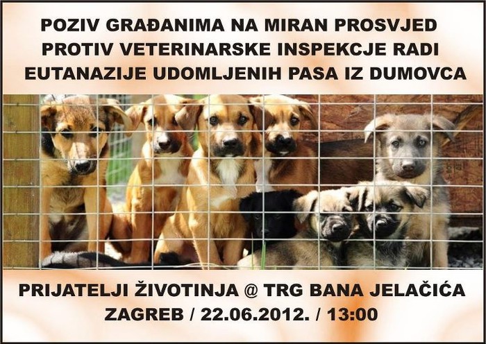 Bezumni pokolj zdravih pasa: Dođi na prosvjed i reci NE!
