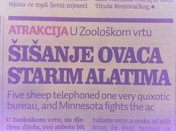 Novinari se najeli ludih gljiva?