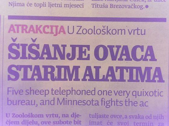 Novinari se najeli ludih gljiva?
