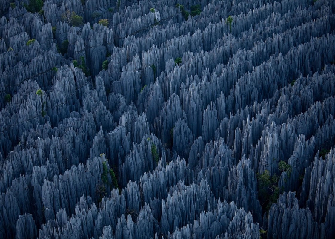 "Kamena šuma" s Madagaskara