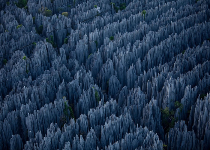 "Kamena šuma" s Madagaskara
